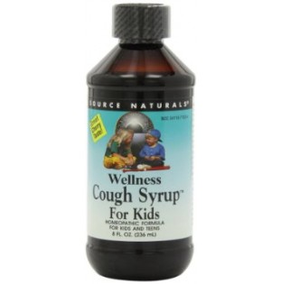 Source Naturals Wellness Cough Syrup For Kids,  8fl oz (236 ml)